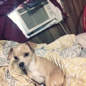 Meet your Posher, Jonathan allan